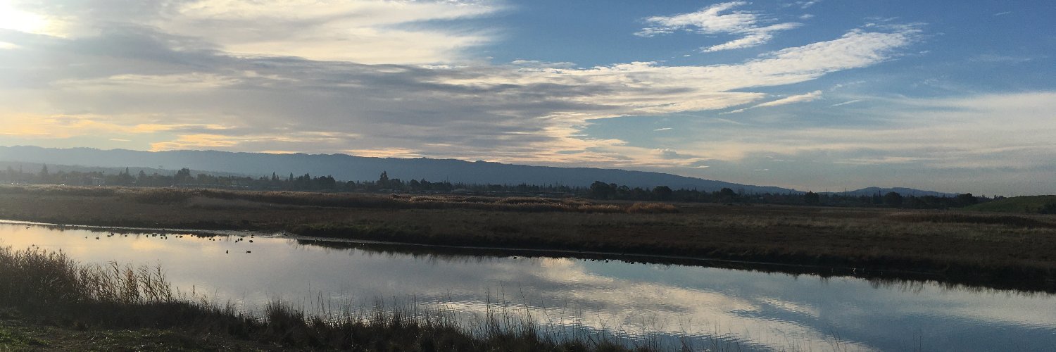 cawilka's profile banner image
