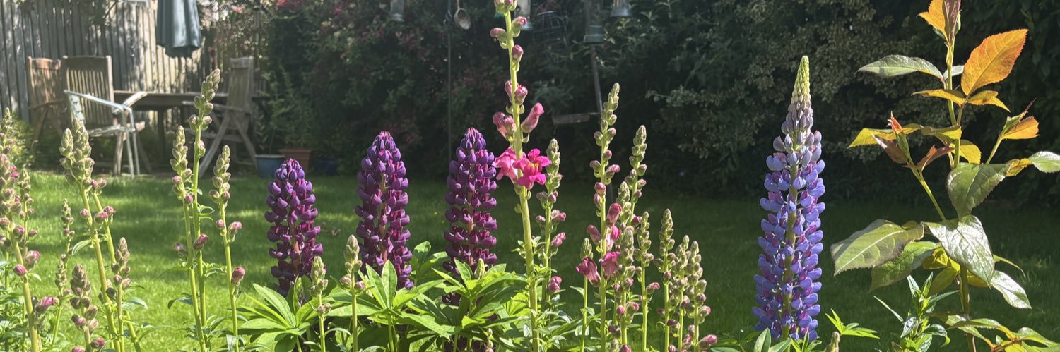 STEMScotBorders banner