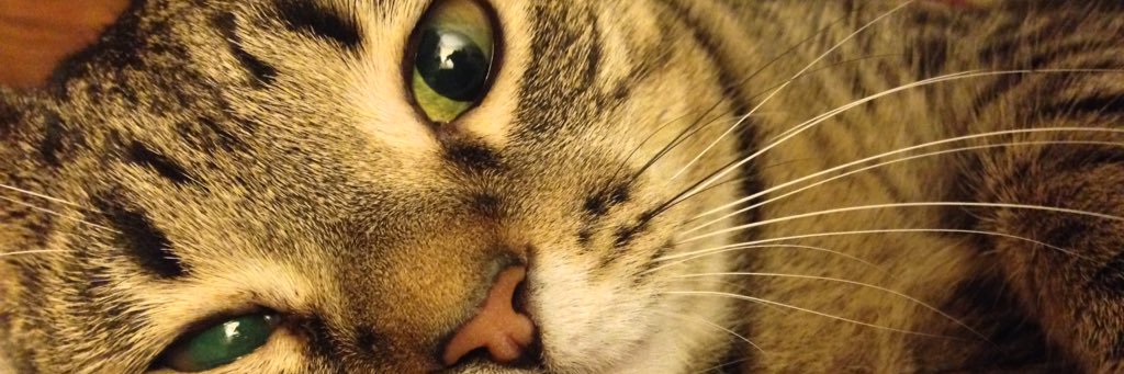 KCullen_'s profile banner image