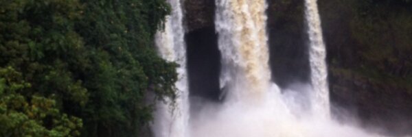 JannaAPotts Profile Banner