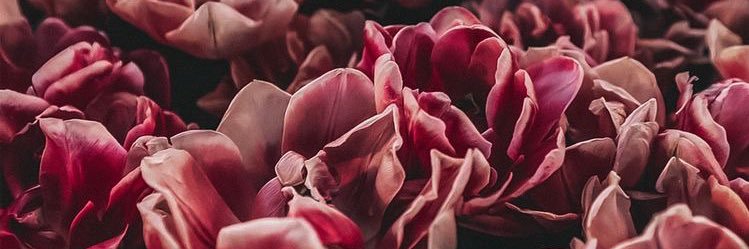 louandria's profile banner image