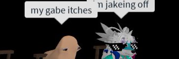 reallystupidf0x Profile Banner
