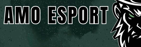 AMO_Esport Profile Banner