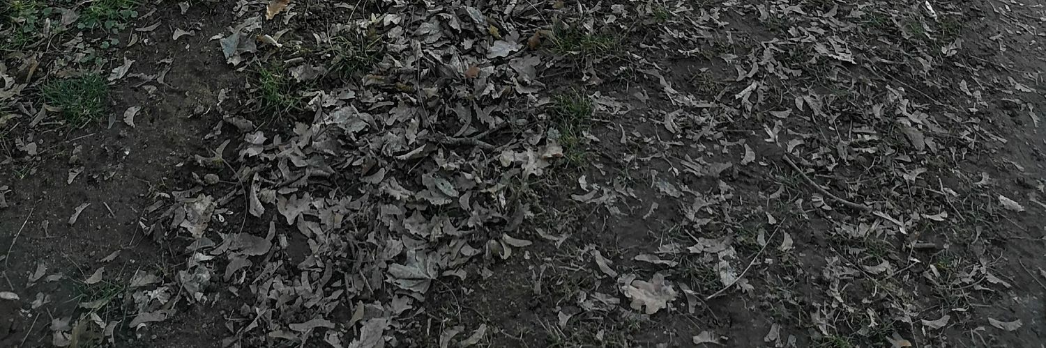 Tchikyte's profile banner image