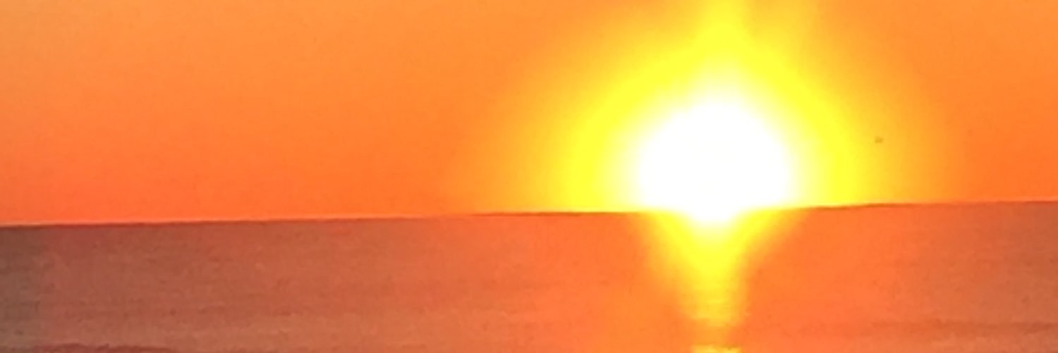 WallysWally's profile banner image