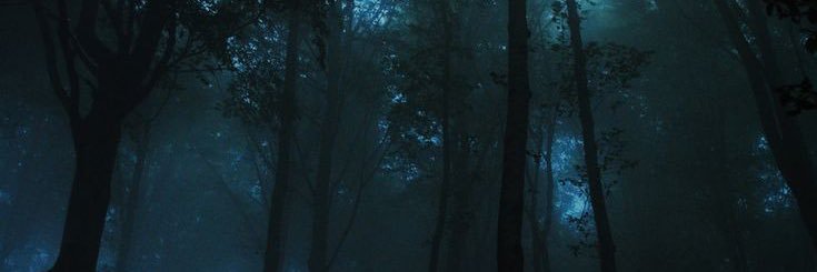 satamii's profile banner image