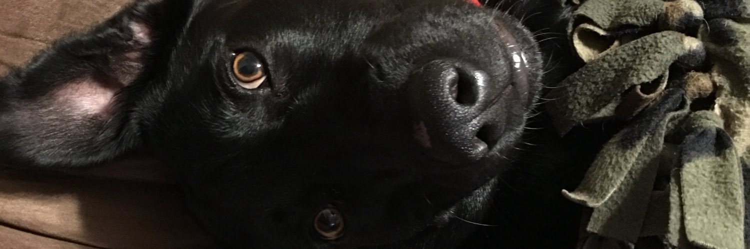 𝕂𝕀𝕄 ℙ𝕀ℕ𝔼𝔸𝕌 🇺🇸🌴3️⃣🎱 banner