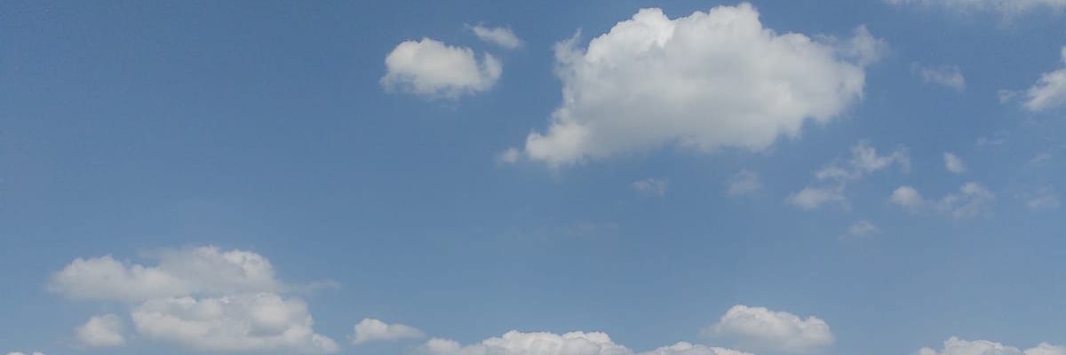 ℓєο banner