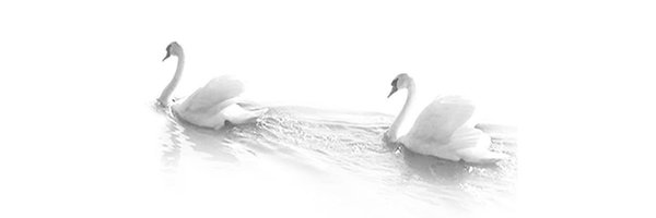 amiraelfekyy Profile Banner