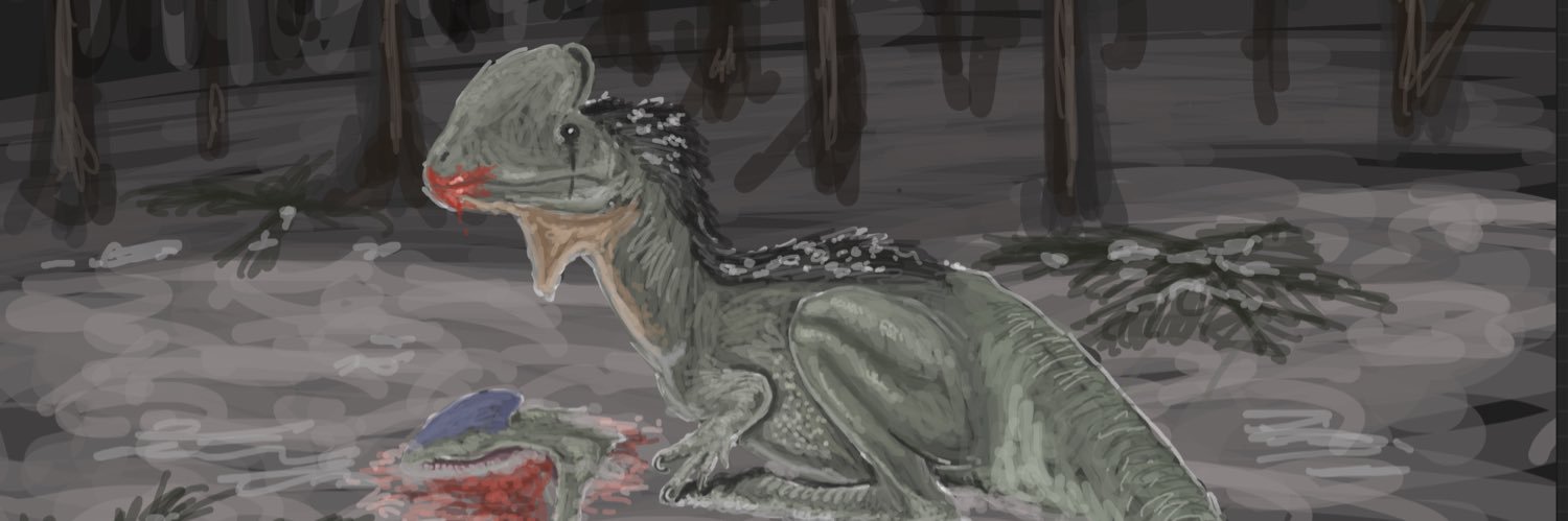 Hussain 🇸🇩 🩷 🇵🇸 banner