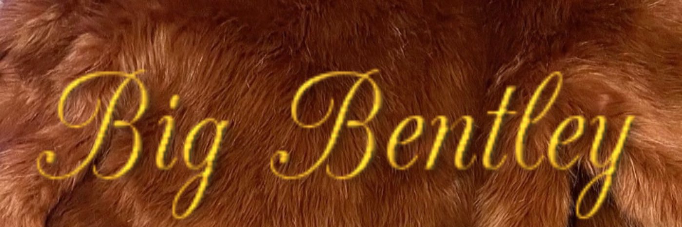 bentleybrwn's profile banner image