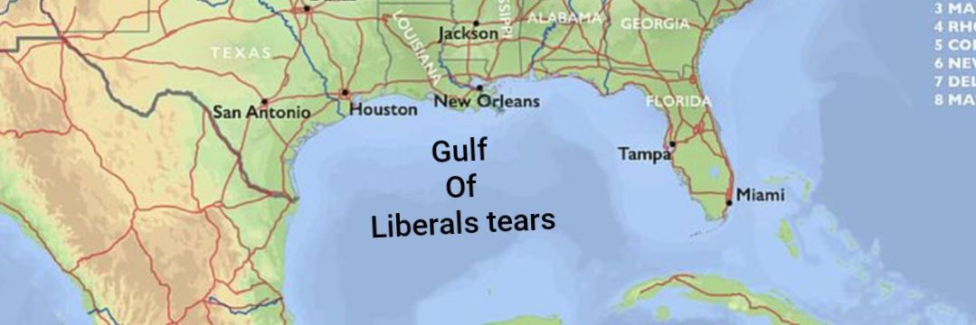 Norm's ranting Again banner