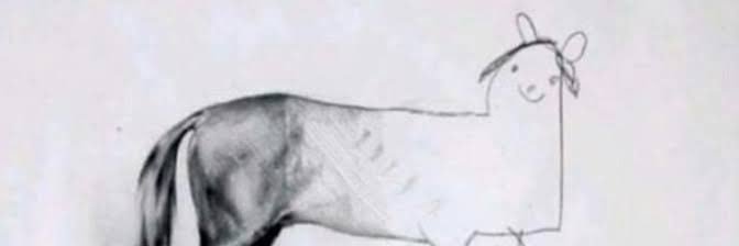 Pedroallbert's profile banner image