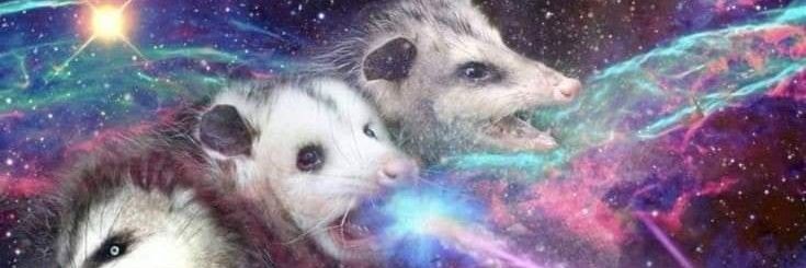 Detractuz's profile banner image