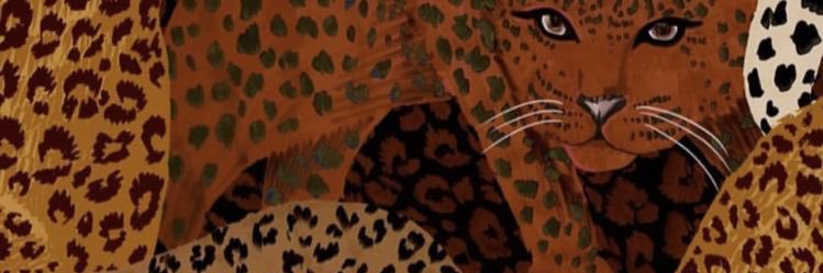 delfinabere's profile banner image