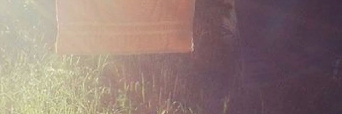 d banner