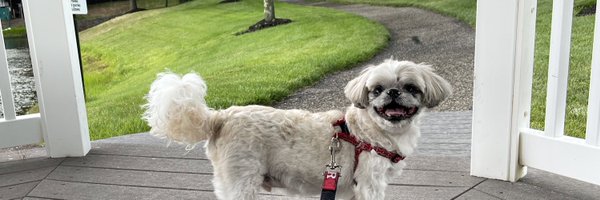 tmpuuccc Profile Banner