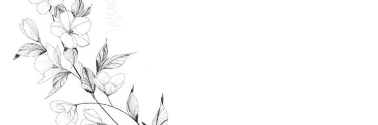 ciiinvargas's profile banner image