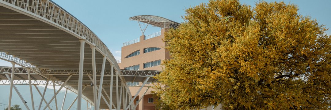 ULPSanLuis's profile banner image