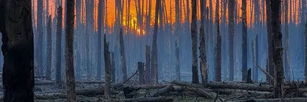 Drewpro3 Profile Banner