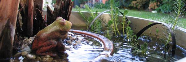 m_p_p Profile Banner