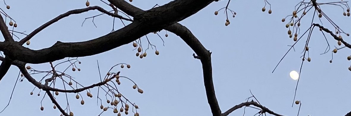 𝑹𝑺 banner