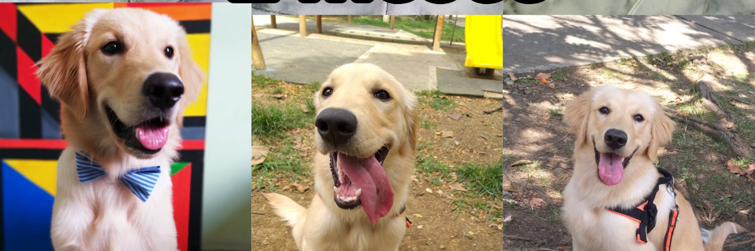 Bryan Bermúdez banner