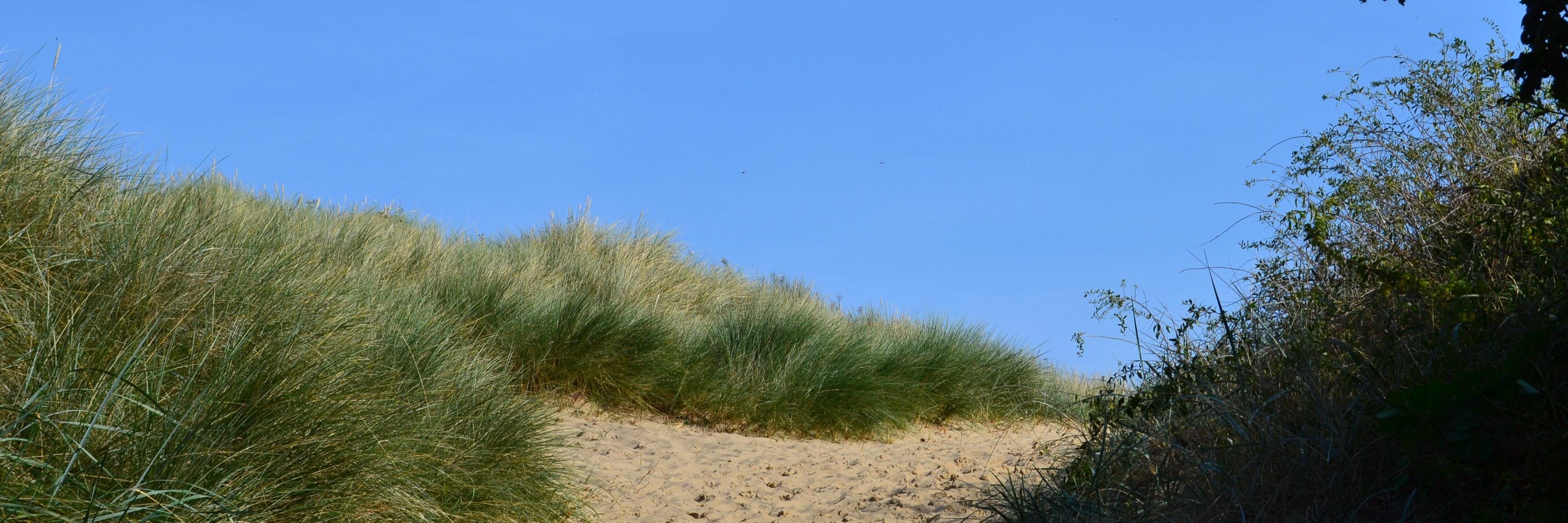 Vicky_Bentall's profile banner image
