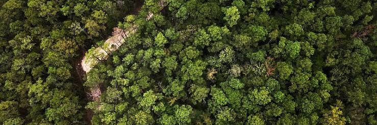 Climate & Sustainable Development Network banner