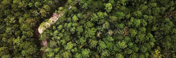 CSDevNet1 Profile Banner