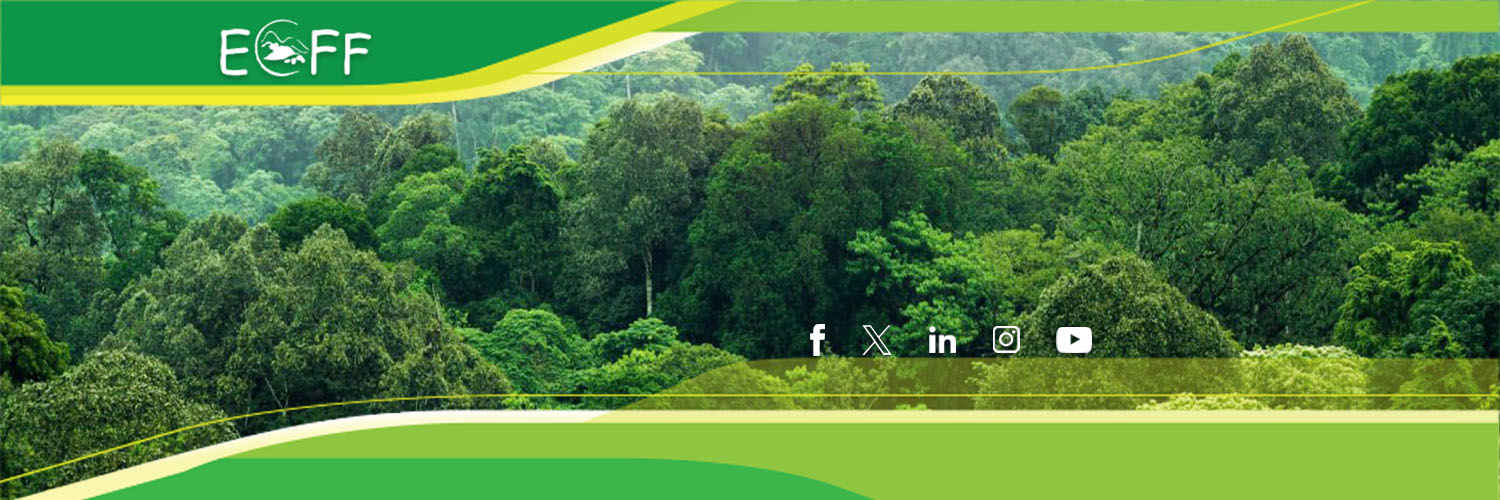 ECFF - Environment and Coffee Forest Forum banner