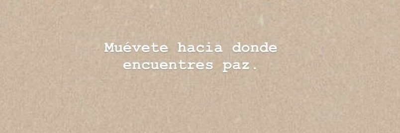 Dany banner