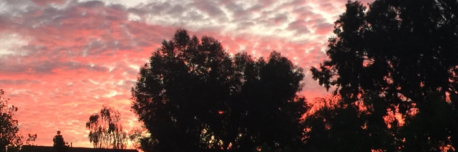 amyeschen's profile banner image