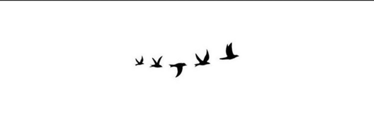 samar_r4's profile banner image