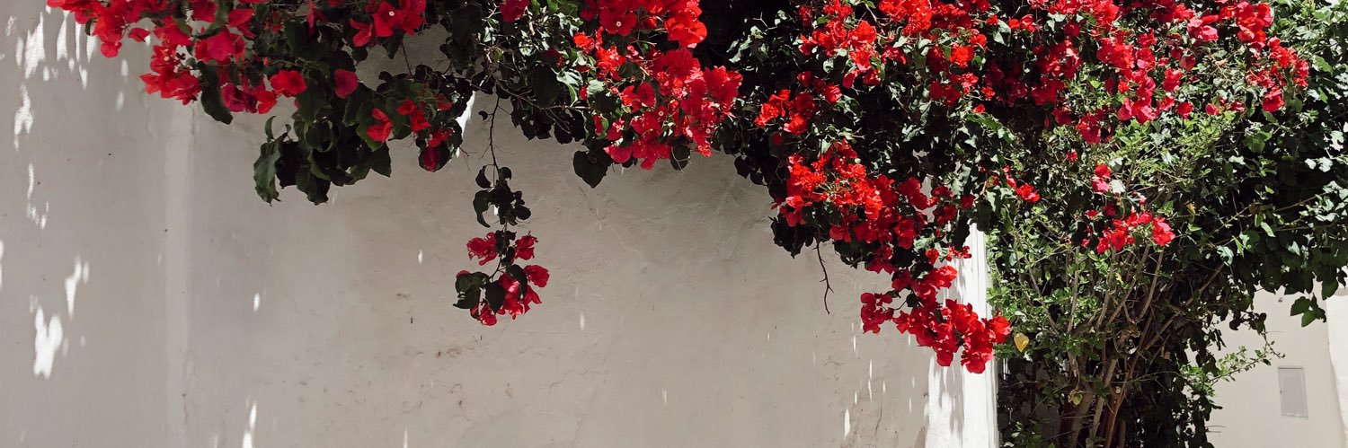 PilarF90's profile banner image