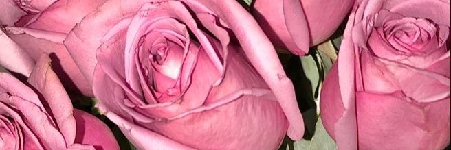 AnahiPompa_'s profile banner image