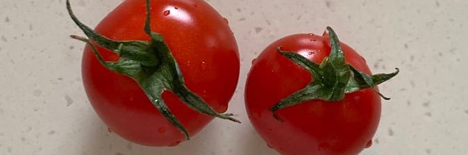 หมา🐶 banner