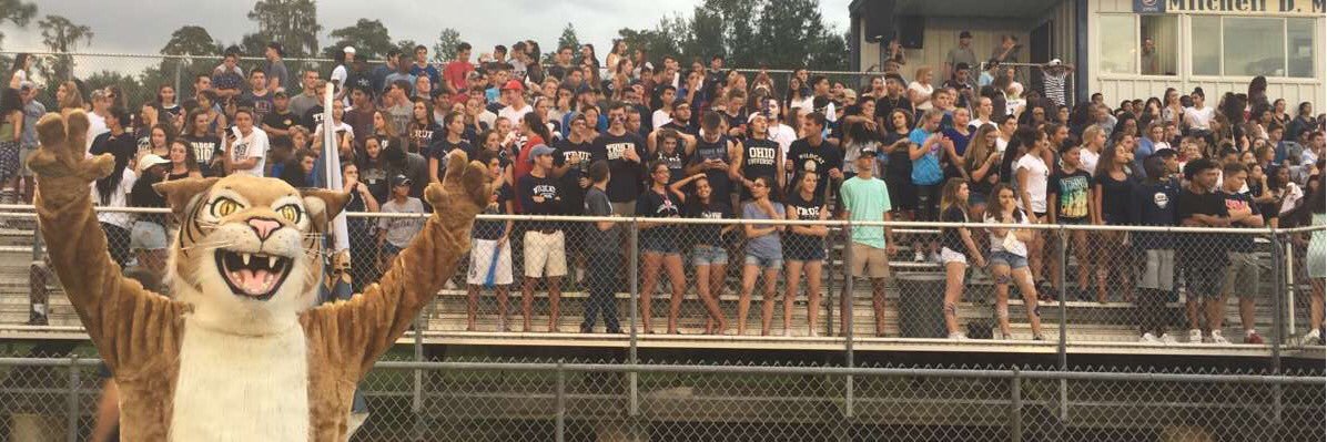 Blue Crew banner
