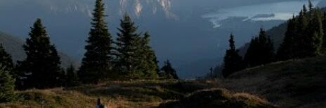 SpenceFluence's profile banner image