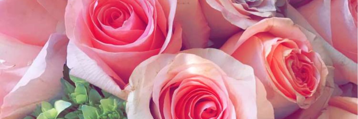 MsKNWood's profile banner image