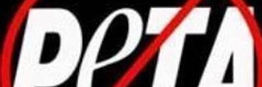 Nandini_PS's profile banner image