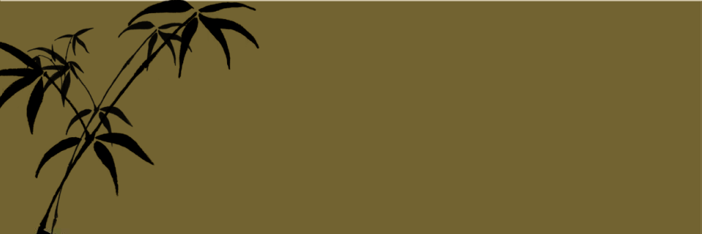 NoviPanda♛ banner