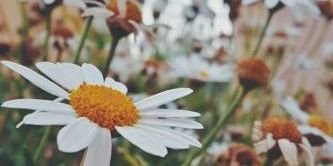 alward_37's profile banner image