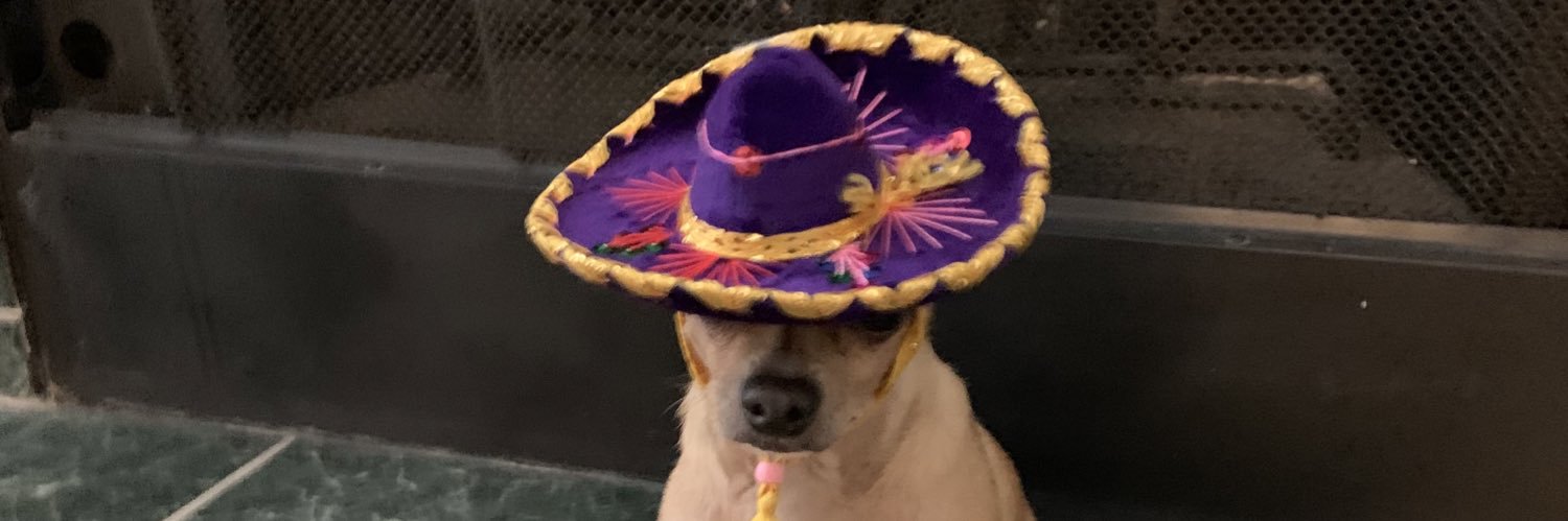 DirtyPurse's profile banner image
