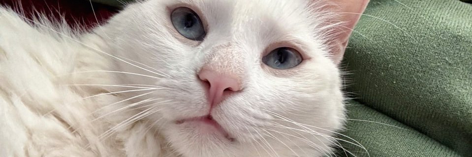 YumiAndd's profile banner image