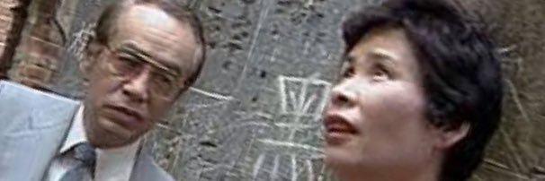 fried_greenfrog's profile banner image