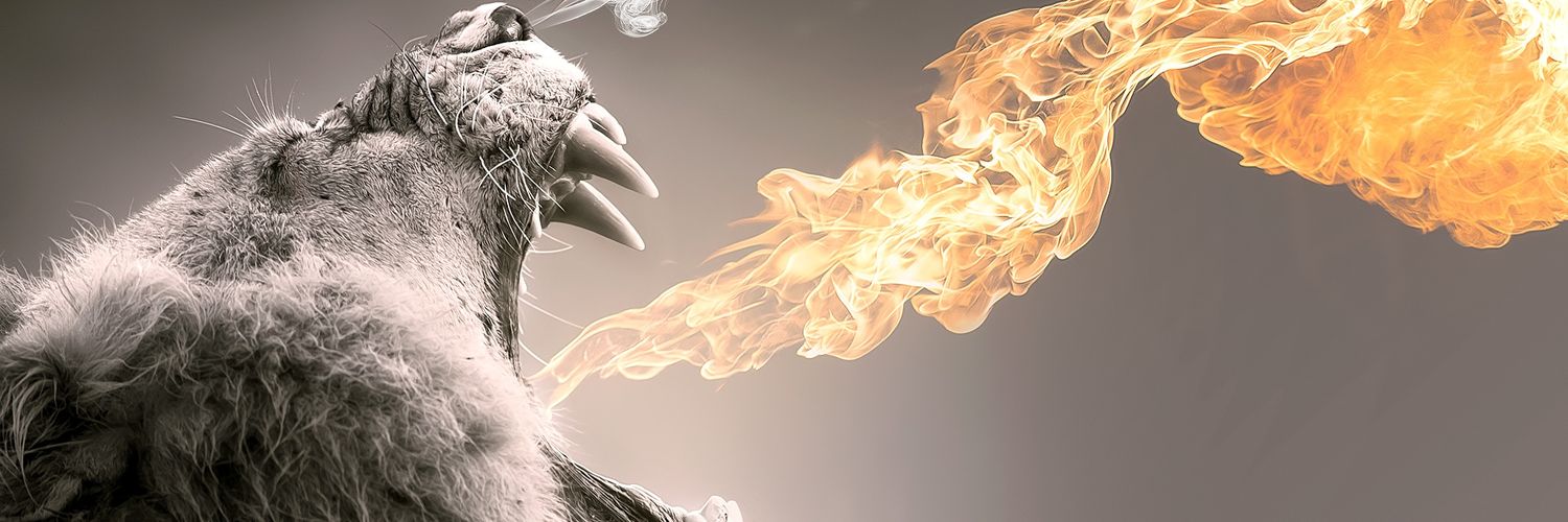 sandro_2012's profile banner image
