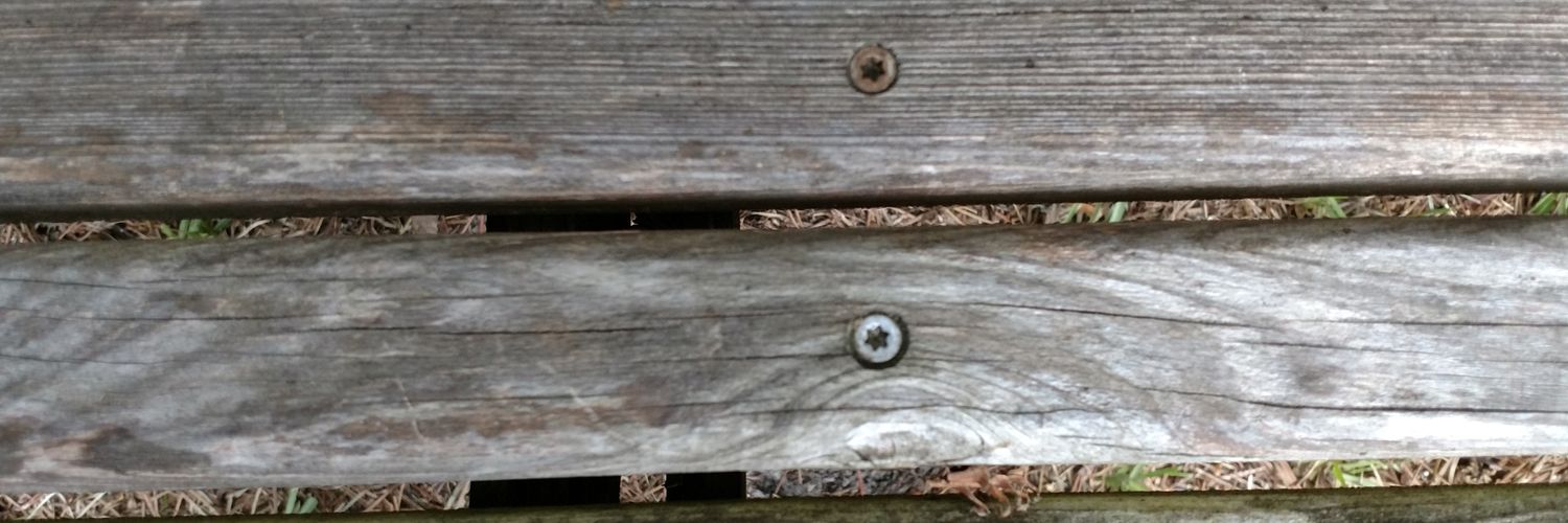 victoriajones 🌊 banner