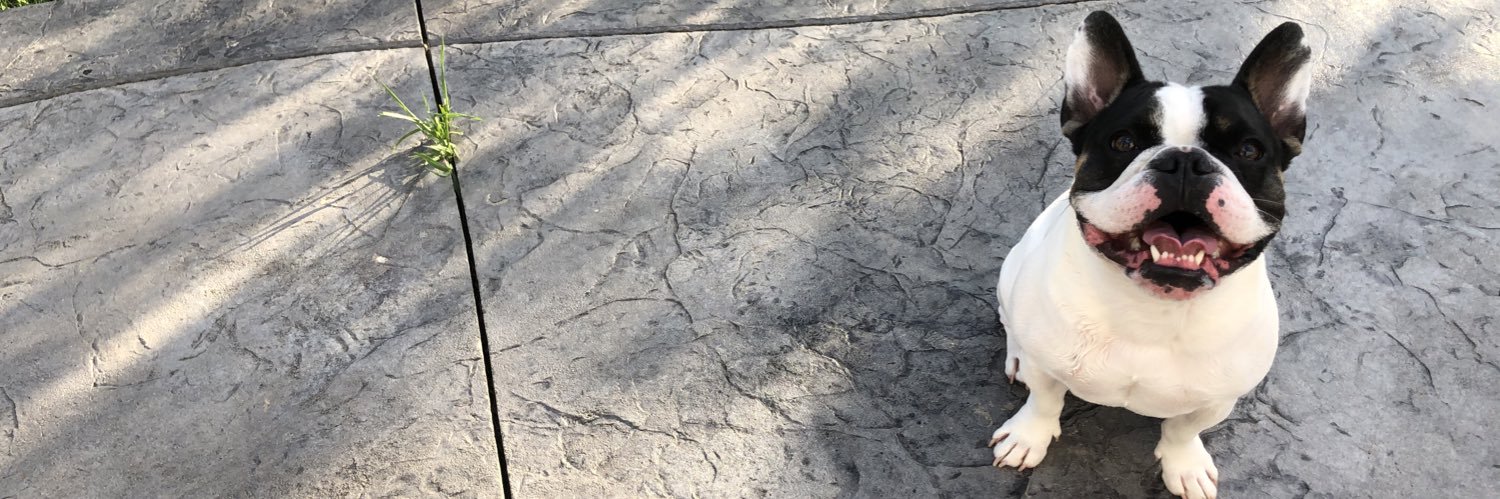 JacquelynLo's profile banner image