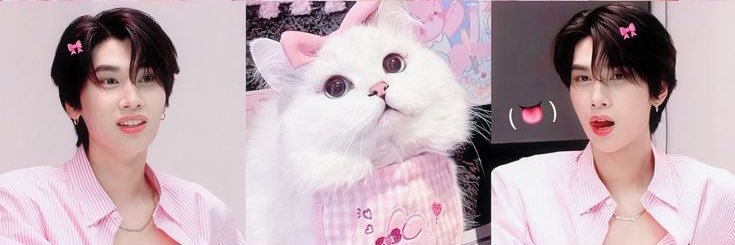 bloominsummer_'s profile banner image